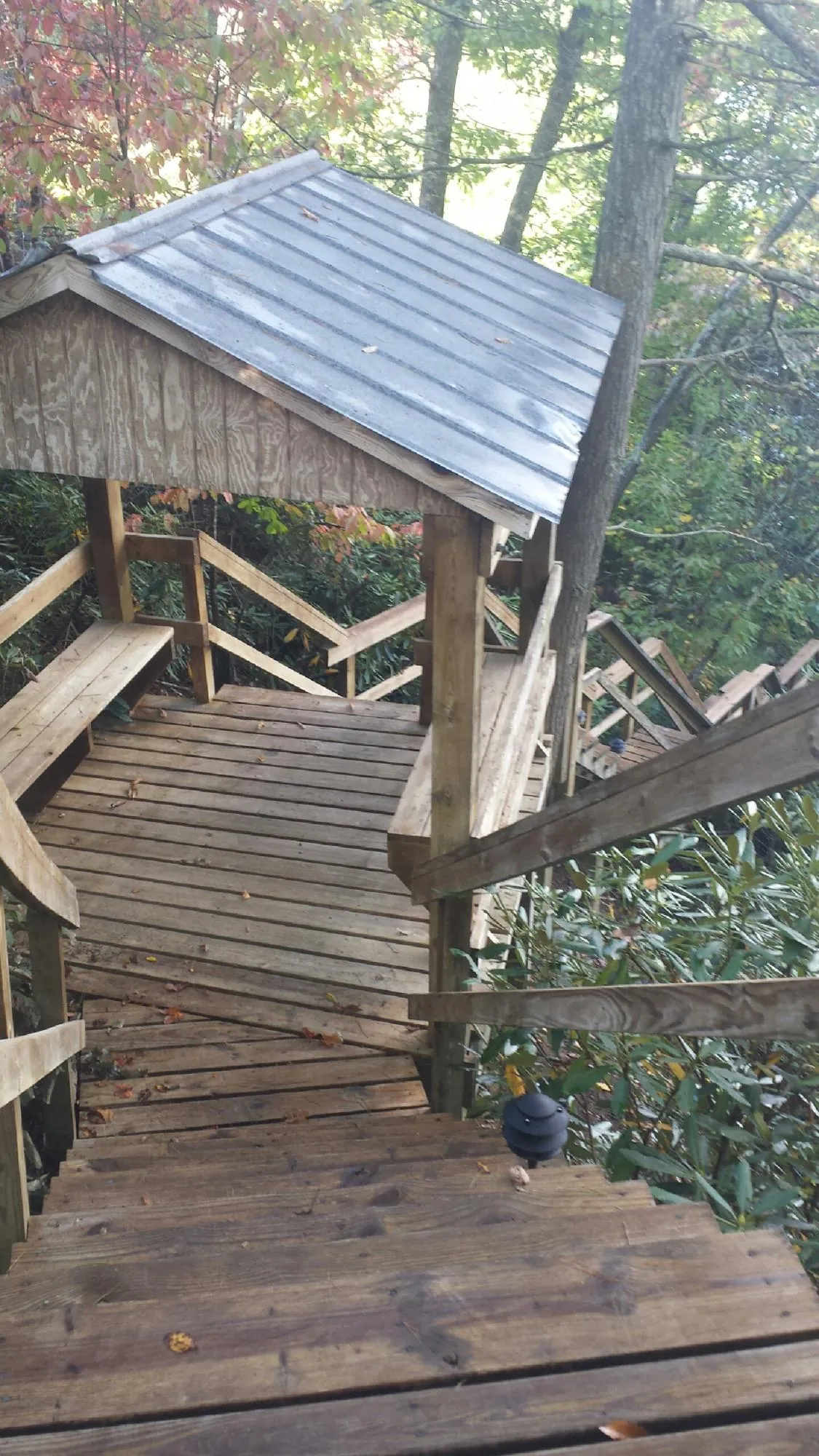Metal roofed shelter over wooden steps on a wooded walkway — Skylight Repair & Installation work by our crew in Pond Creek